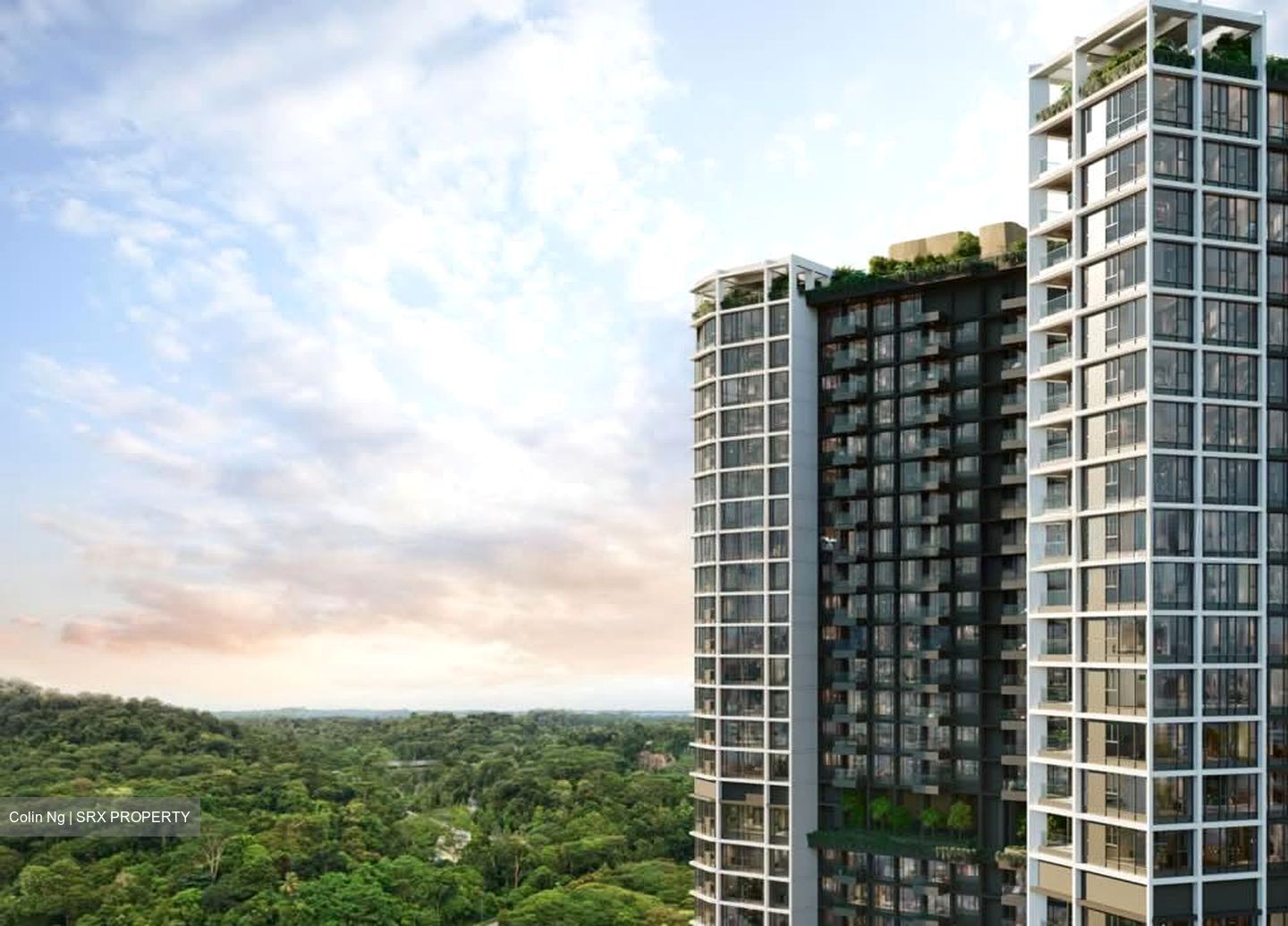 The Reserve Residences (D21), Apartment #566750121